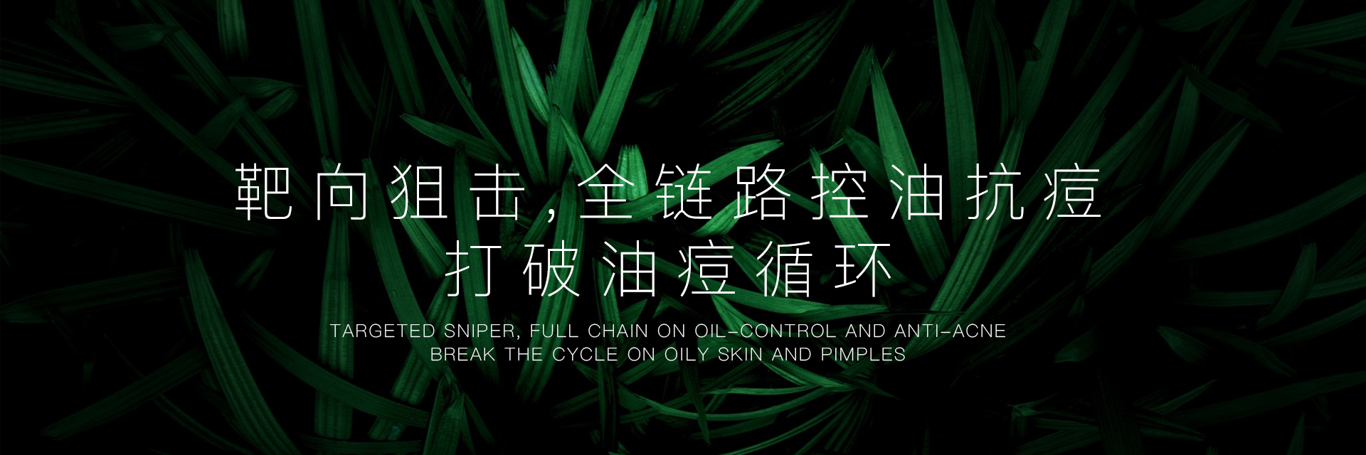 油痘肌（控油祛痘）