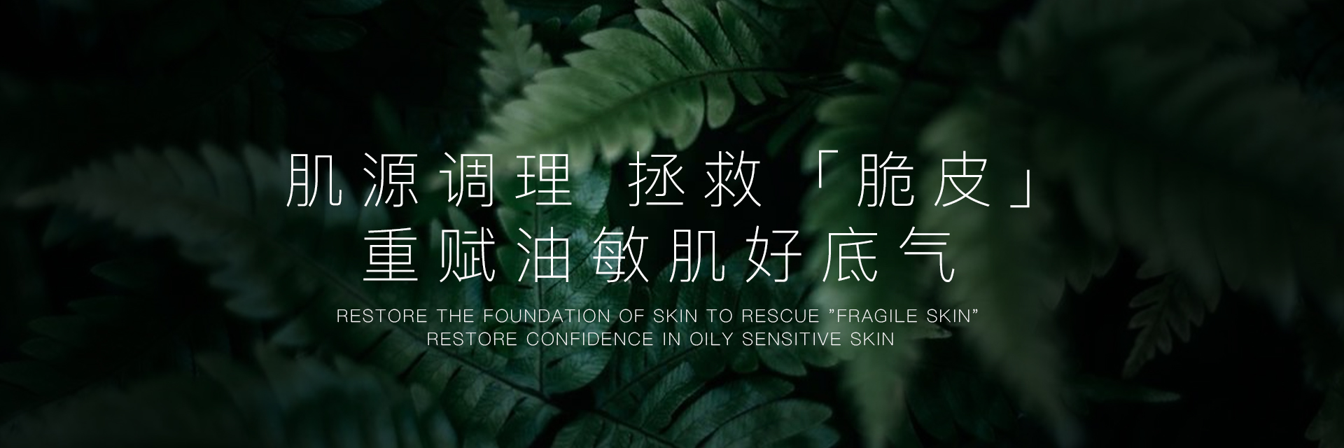 油敏肌（控油舒缓）