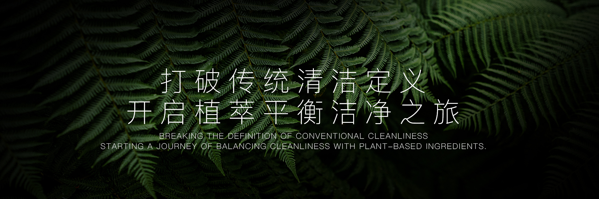 身体控油