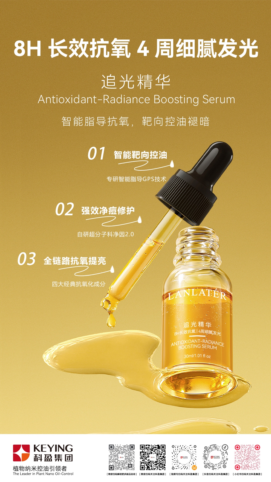 追光精华